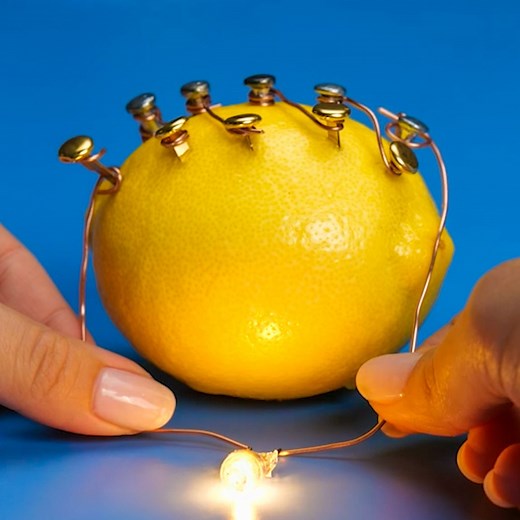 10M views · 128 reactions | Impressive experiments with fruits and vegetables you’ll definitely want to try out! | Now I've Seen Everything | Facebook