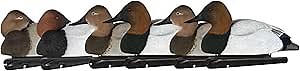 Avian X Topflight Canvasbacks Decoys Replicated Real Duck Bird Pack, Weight Forward Swim Keel Realistic Movement Design