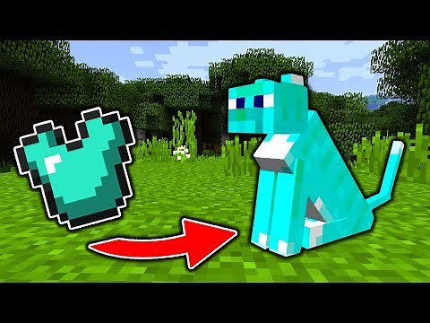 Wie KATZEN RÜSTUNGEN in Minecraft TRAGEN können!
