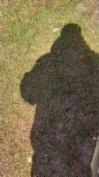 PELICAN AEGIS 25L TRAVEL PACK MULTICAM WATERPROOF? #review #backpack #backpacking #pelicancase