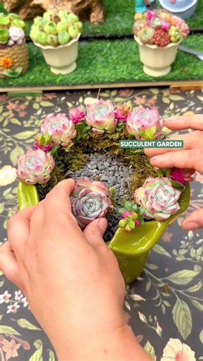 How to Make a Stunning Colorful Succulent Arrangement! 🌈🪴