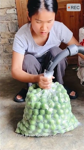 Vacuum Sealer for Fresh Fruit Storage #viral #shorts #tools #machine