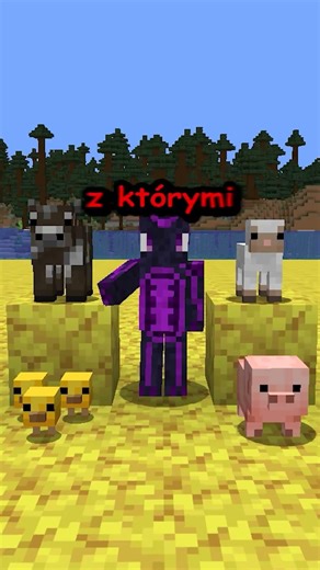 Mojang Ruined Puppies in Minecraft?! ⚔️💎