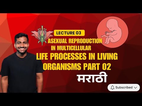 LIFE PROCESSES IN LIVING ORGANISMS PART 2| Class 10 Science | Lecture 03 | MARATHI | TIPS & TRICKS