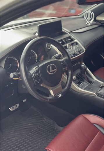 Lexus NX300 Prestige Package Detailing Showcase