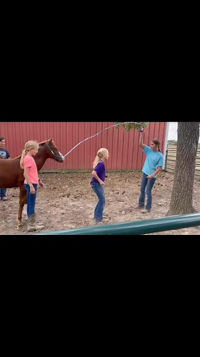 2.3K views · 89 reactions | Django (Baby) grew up with the girls here, and is 4 now  | Rita Reasons | Facebook