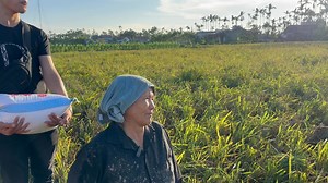 919 reactions · 54 comments | Bà con tranh thủ thu hoạch nốt ruộng lúa còn lại tại khu vực bị ảnh hưởng nặng nề bởi cơn lốc xoáy vừa qua. Nhìn ruộng lúa đổ rạp, thóc nảy mầm thấy thương bà con bao ngày vất vả chăm bón Mong mọi người sớm vượt qua khó khăn này. | Phạm Văn Đoan | Facebook