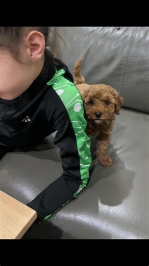 Ico_Raqta (@ico_raqta)’s videos with son original - 𝘼( Taylor’s version )