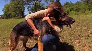 A Stray Dog Found A Woman Badly Injured In The Woods. What He Did Next Is Truly Amazing