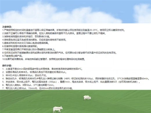 #C5试剂盒，补体成分5试剂盒，ELISA试剂盒#大鼠补体成分5(C5)ELISA试剂盒#上海纪宁生物#实验日常