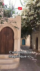 13K views · 347 reactions | C'est plus que magnifique ici  #Tunisie #Tourisme #Djerba | Tunisia North Africa | Facebook