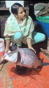 Many many big fish cutting video #fish #fishing #cutting | Bhaskar Halder