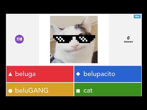 When Beluga Has a Kahoot Quiz!