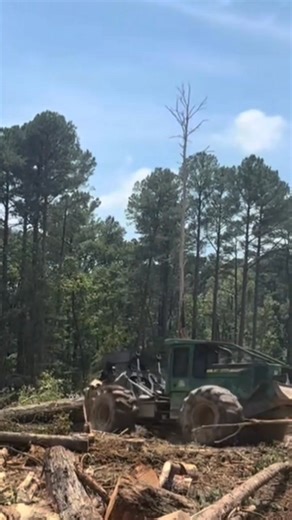 Logger work 🌲🪚🚜🪵🥾 #brotherhood #fyp #thenandnow #AmericanHeritage #logging #steampower #loggerlife #historylesson #industrialrevolution #cypress #logging #tbt #love #usa #foryoupageシ #money #monday | Peake Warren