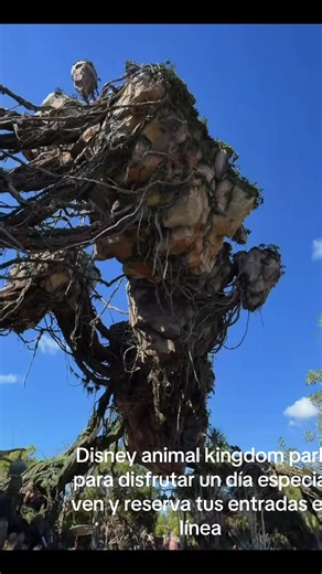 Enjoy a Special Day at Disney's Animal Kingdom