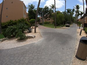 1.6K views · 50 reactions | Welcome to Divi Dutch Village Beach Resort! Experience this little slice of paradise in Aruba that has three unique pools with steps away from the beach! Completely renovated to suit your vacation needs ⁣ ⁣ Learn more at www.diviresorts.com/divi-dutch-village-resort-aruba.htm⁣ #diviresorts #aruba #onehappyisland #caribbean #vacation | Divi Resorts | Facebook