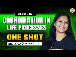 Coordination in Life Processes | One Shot | TS Class 10 | Sunaina Ma'am