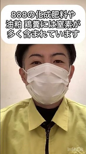 じゃがいもが大きくならず、葉っぱは大きくなるのはなぜ？【農業屋】 #shorts ＃春じゃがいも #つるぼけ