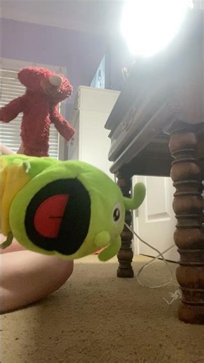 elmo world adopt quiz