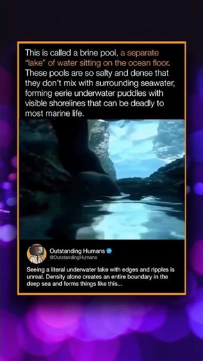 This is called a brine pool, a separate "lake" of water sitting on the ocean floor.