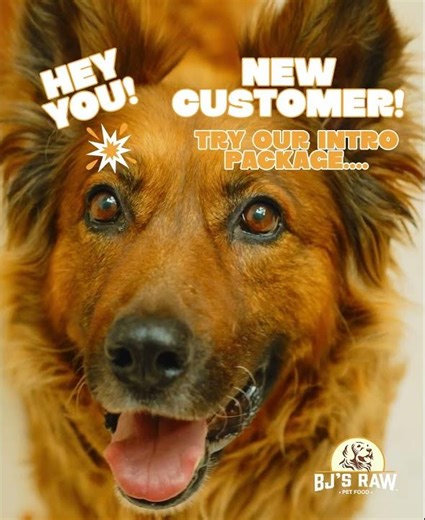 SAVE 40% + FREE SHIPPING ON PREMIUM RAW DOG FOOD🐶