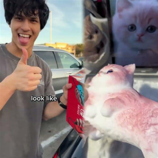 How to legally steal a Nintendo Switch#funny #pov #shorts