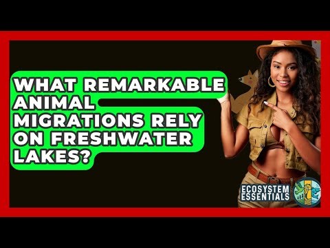 What Remarkable Animal Migrations Rely On Freshwater Lakes? - Ecosystem Essentials