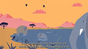 4K views · 345 reactions | An Oxford-led conservation project in West Africa is helping to protect elephants in the region. It's work creates balance between local communities and the elephant population. Learn more ⬇️ https://wild.org/mali-elephants/  | Oxford Sparks #WorldEnvironmentDay #TruePlanet | University of Oxford | Facebook