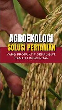 AGROECOLOGY: A PRODUCTIVE AND ENVIRONMENTALLY FRIENDLY FARMING SOLUTION #ipbdigitani