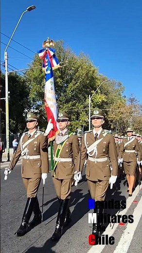 #escar #escueladecarabineros #carabinerosdechile #carabineros #cambiodemando #congresonacional