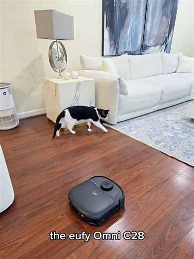 @eufy US Milk spills, coffee stains, pet hair everywhere… welcome to my house 🐾 The eufy Omni C28 vacuums mops at the same time with its HydroJet™ roller, so messes don’t get pushed around — they actually disappear. ✨Final price: $499.99 after $300 OFF 🗓 Promotion starts on March 2 ⏳ Limited-time deal - Order ASAP Discount Code: USC28FANS 🔗Link is in my bio: https://eufyofficial.com/5rlsyq #eufyrobotvacuum #eufyrobovac #eufyclean #eufydeepcleaning #eufyomnic28