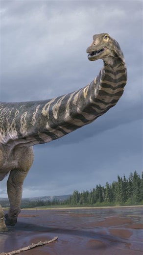 The A to Z of Australian Dinosaurs #shorts #dinosaurexpert #queenslanddinosaurweek