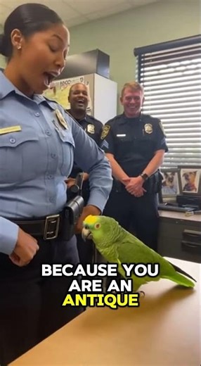 PARROT Tells Cop: "In Bird Years, You Are a Dinosaur!" 🦜