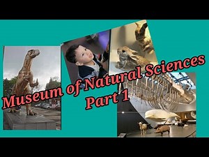 Museum of Natural Sciences