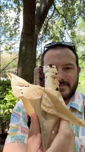 Viral Ice Cream Sandwich at Disney World!