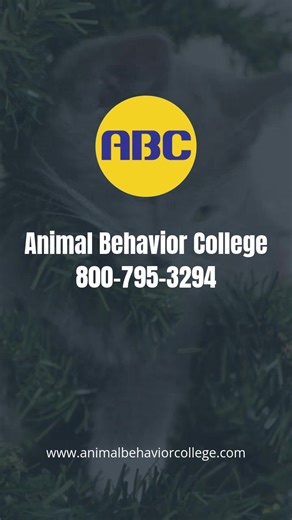 Tis the Season! #ABC #Animalbehaviorcollege | Animal Behavior College | Facebook
