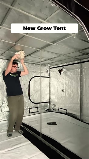 New Grow Tent (Again)