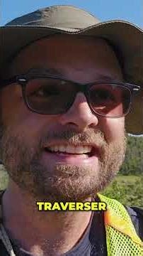 Isolement sur la T'railway : Je croise des orignaux!#shorts