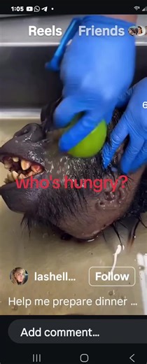 the only crazy food I'm eating is chicken