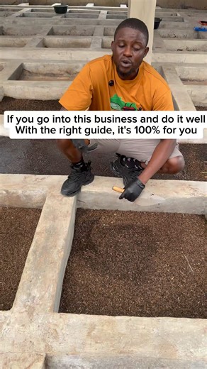 Anything worth doing should be done well. BSF farming is not exceptional | Bempet Organic Farm