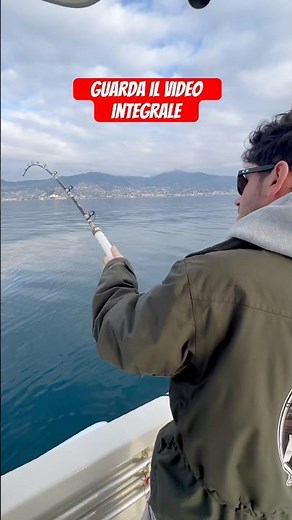 Pesca a traina con la striscia di calamaro. Dentici pagri pagelli tanute scorfano rosso