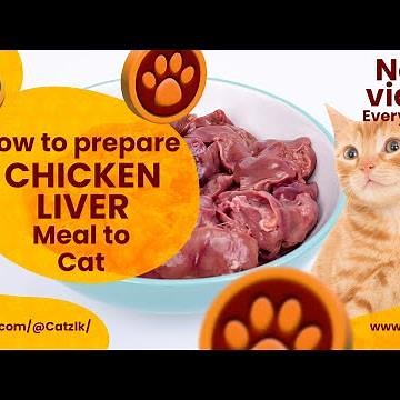 How to prepare Chicken Liver Meal for Cats? #facts