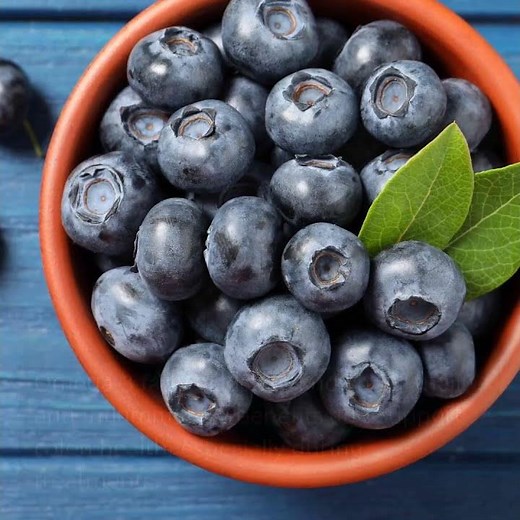 8 Delicious Foods to Supercharge Your Colon Health