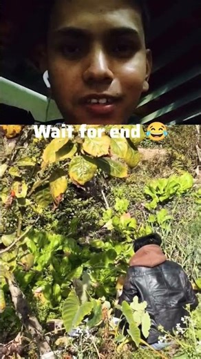 सुतायो सुतायो पाडोले 🤣🤣🤣#shorts #funny #trending #comedy #entertainment