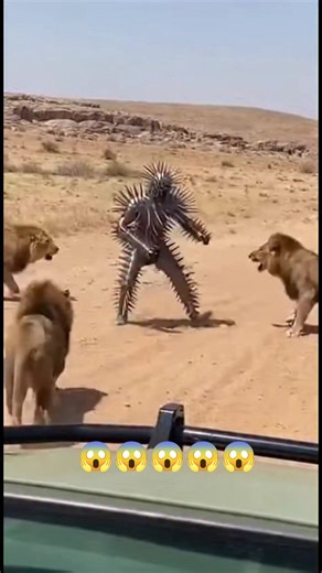 Michael Factor Sacrezvlog on Instagram: "#Amazing #robot #robotics #hilights #everyoneシ゚ #fypシ゚ #fypviralシ #shortsreels #videoviralシ"