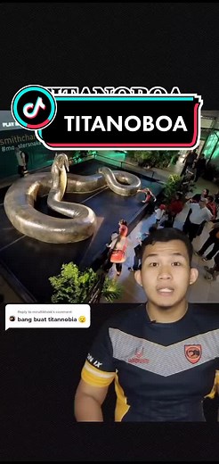 Exploring the Titanoboa: Real Footage and Fossil Discoveries