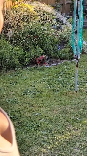 Jess Tungsten on Instagram: "There's something so therapeutic about watching a sprinkler ☺️"