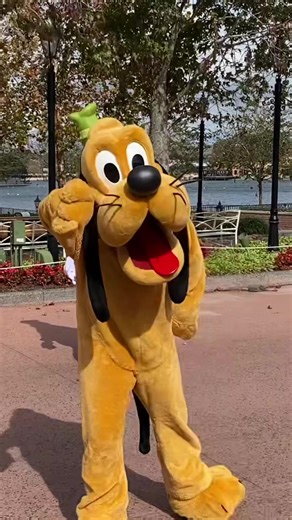 ✨ Rando Video! ✨ A little Epcot moment from a very strange time when characters popped up where you least expected them 🥹 I’ve got tons of random Disney park clips sitting on my laptop that never make it into my bigger projects. Instead of letting them go unseen, I figured why not share them? 💙 That’s why I call these “Rando Videos” Little unscripted Disney park moments with no rhyme or reason, just the magic of being there. Maybe they’ll spark a memory, or maybe they’ll show you something you