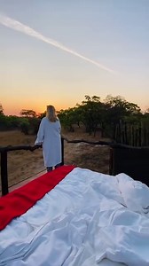 Starbed Experiences at Fig Tree Bush Camp… have you tried it!? Sleep under the stars ✨ surrounded by wilderness. Wake with the sun and feel the pure tranquility of nature! It’s a must for the bucket list! #FigTreeBushCamp #MukambiSafaris #StarBed #KafueNationalPark #DiscoverZambia #Safari #Travel #adventure | Mukambi Safaris