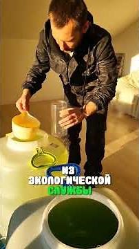 дача с сюрпризом💩